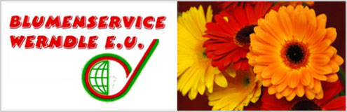 Blumenservice Werndle e.U. - Blumen Pflanzen Balkonblumen Kufstein Tirol